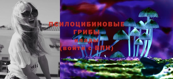 тгк Киреевск
