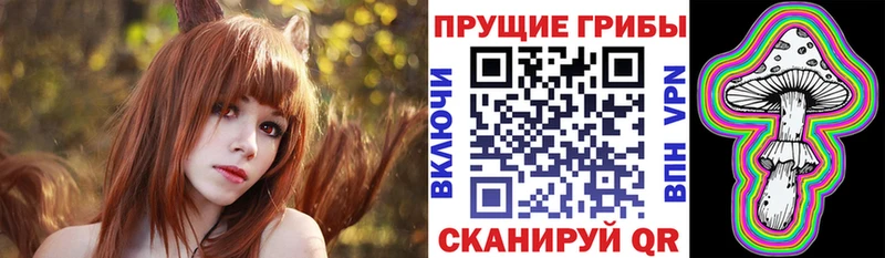 Купить закладки  Катайск  Псилоцибиновые грибы мухоморы 
